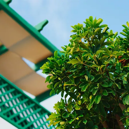 Aelia & Aparthotel Livadi (Astypalaia)