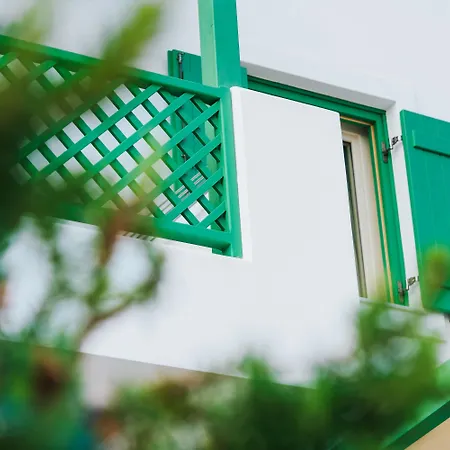 Aelia & 4* Livadi (Astypalaia)