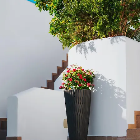 Aparthotel Aelia & 4*