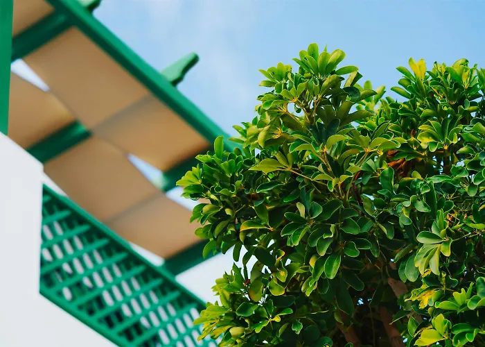 Aelia & アパートホテル Livadi (Astypalaia)