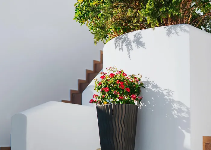 アパートホテル Aelia & 4*